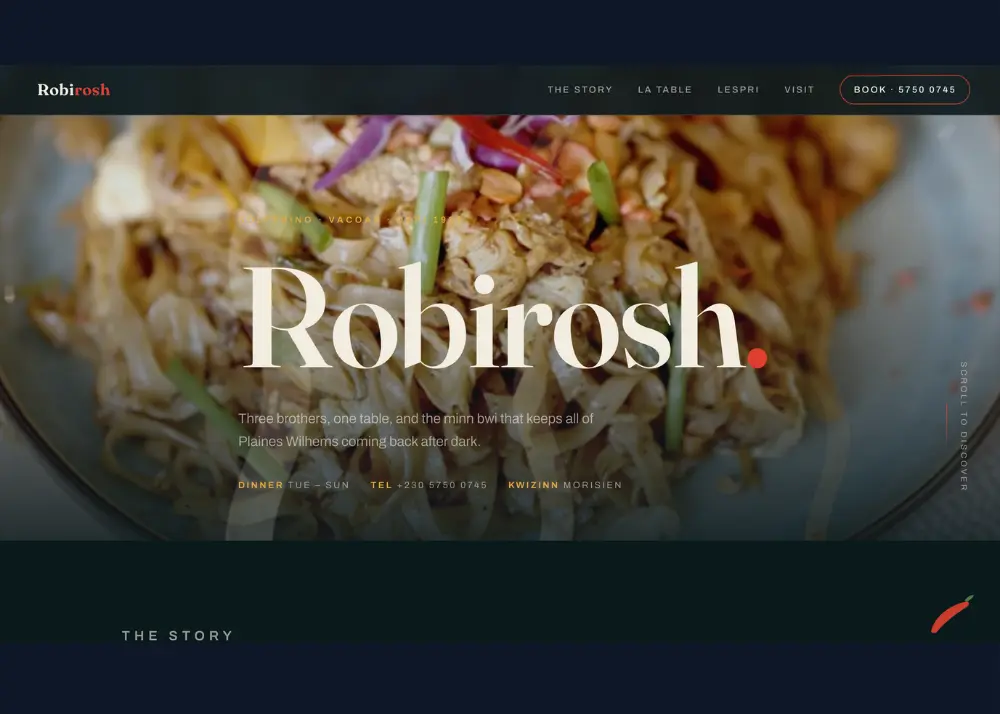 Robirosh website preview